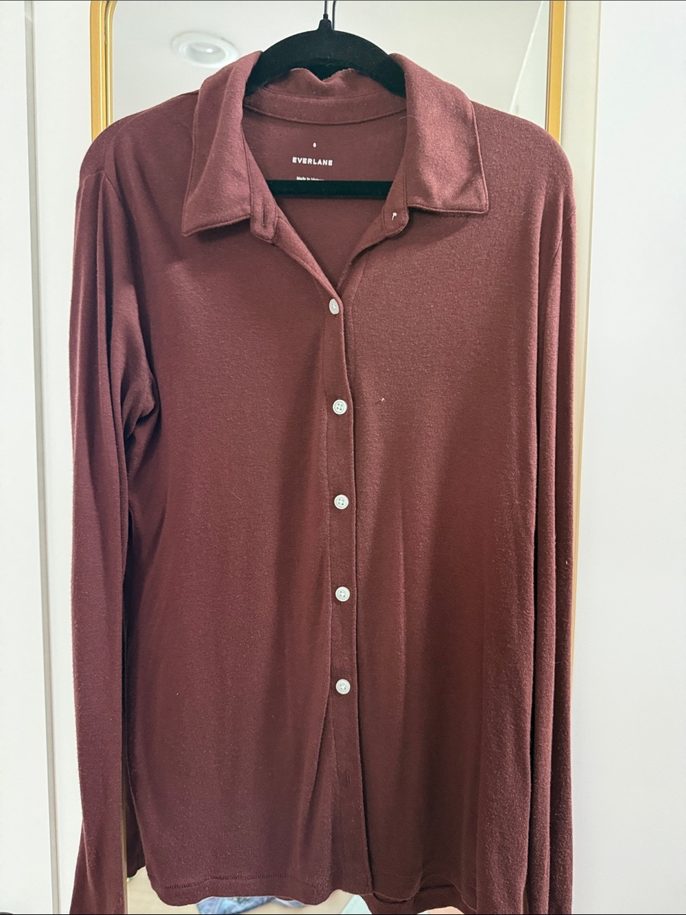 Everlane Button-Up Shirt in Burgundy